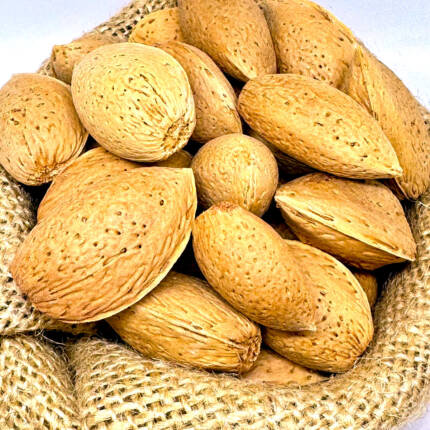 Kabuklu Nurişli Badem (1 kg)